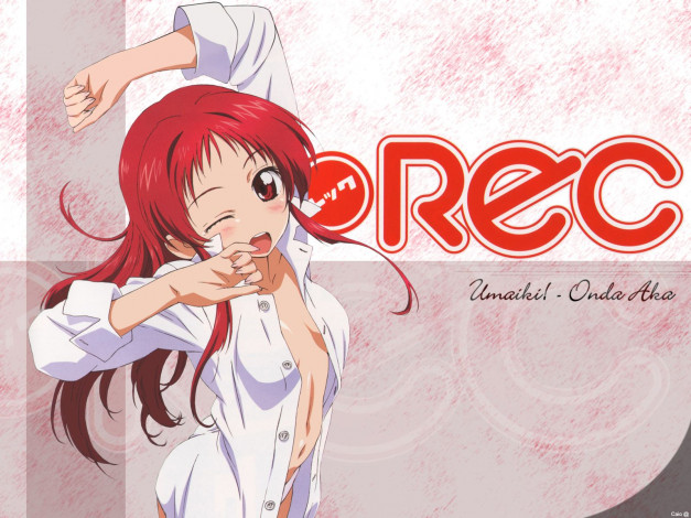 Обои картинки фото аниме, rec