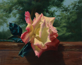 Картинка рисованные цветы