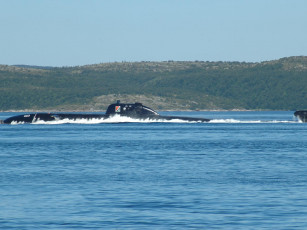Картинка корабли подводные лодки