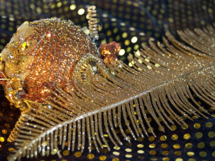 Картинка праздничные украшения