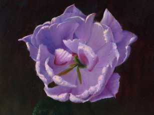 Картинка рисованные цветы