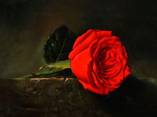 Картинка рисованные цветы