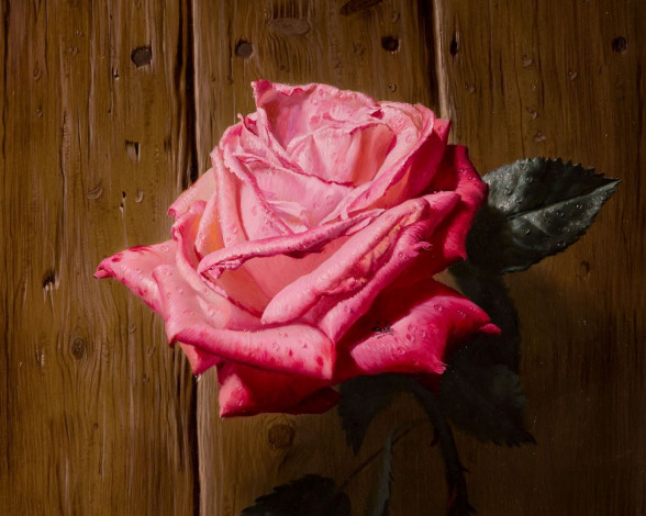 Обои картинки фото рисованные, цветы