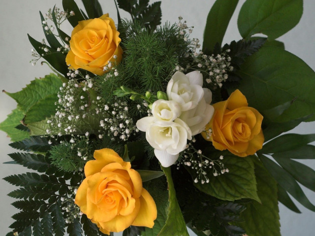 Обои картинки фото цветы, букеты, композиции