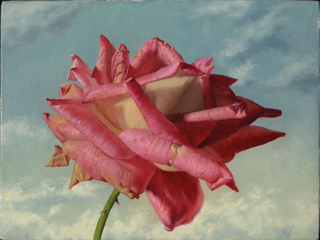 Обои картинки фото рисованные, цветы