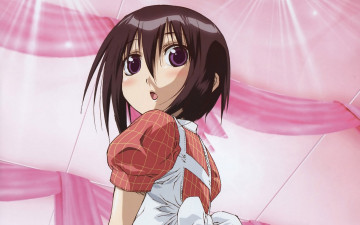 обоя аниме, bamboo, blade