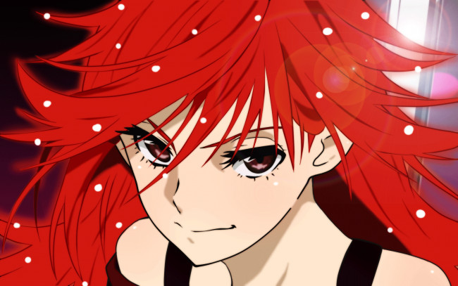 Обои картинки фото аниме, panty, stocking, with, garterbelt, anarchy