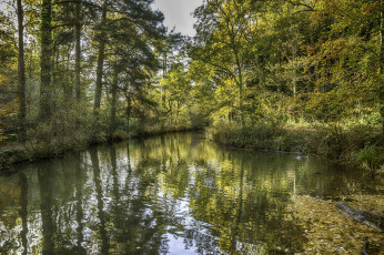 Картинка природа реки озера простор