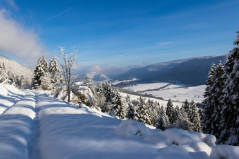 Картинка природа зима простор