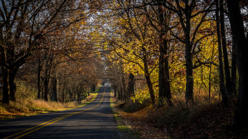 Картинка природа дороги простор