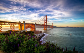 Картинка города сан-франциско+ сша цветы река мост