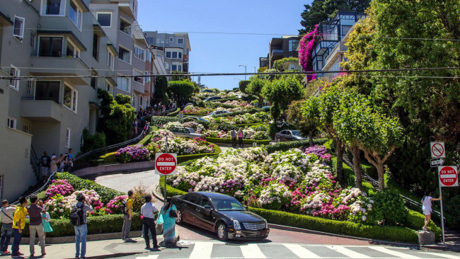 Обои картинки фото города, сан-франциско , сша, клумбы, улица