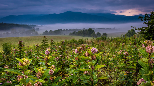 Обои картинки фото природа, пейзажи, простор