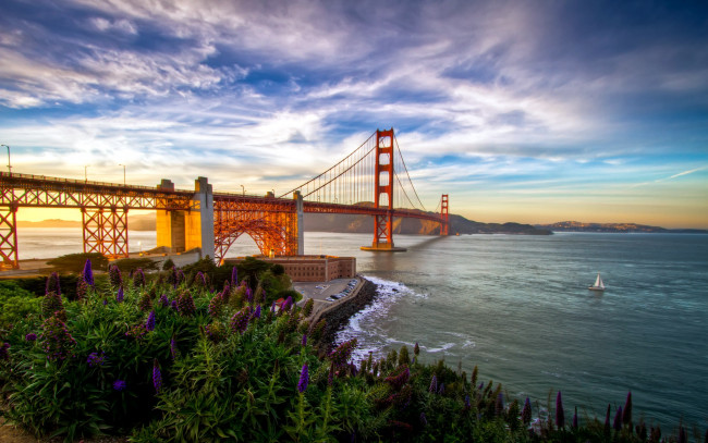 Обои картинки фото города, сан-франциско , сша, цветы, река, мост
