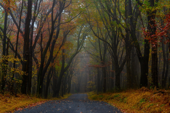 Обои картинки фото природа, дороги, простор