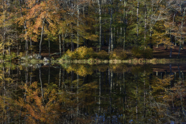 Обои картинки фото природа, реки, озера, простор