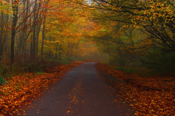 Картинка природа дороги простор