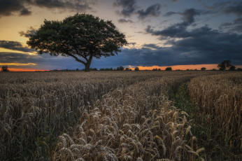 Картинка природа пейзажи простор