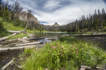 Картинка природа реки озера простор