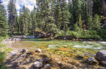 Картинка природа реки озера простор