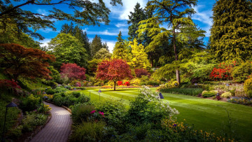 Картинка природа парк аллея лужайка