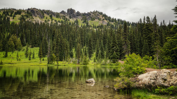 Картинка природа реки озера простор