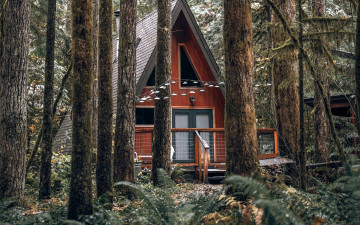 Картинка города -+здания +дома дом