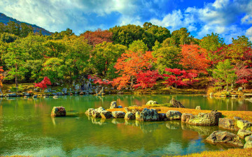 Картинка природа парк осень водоем