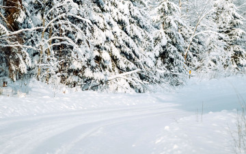 Картинка природа зима сугробы снег