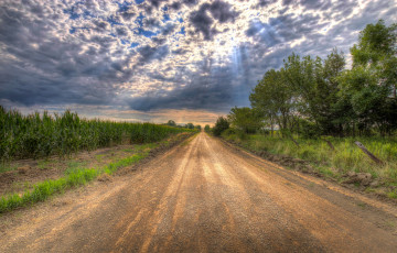 Картинка природа дороги простор