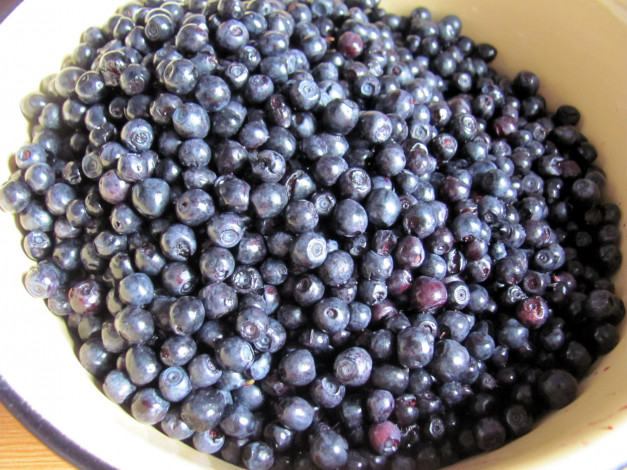 Обои картинки фото еда, голубика,  черника, черника