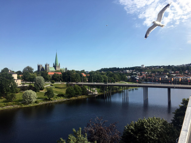 Обои картинки фото trondheim, norway, города, - мосты