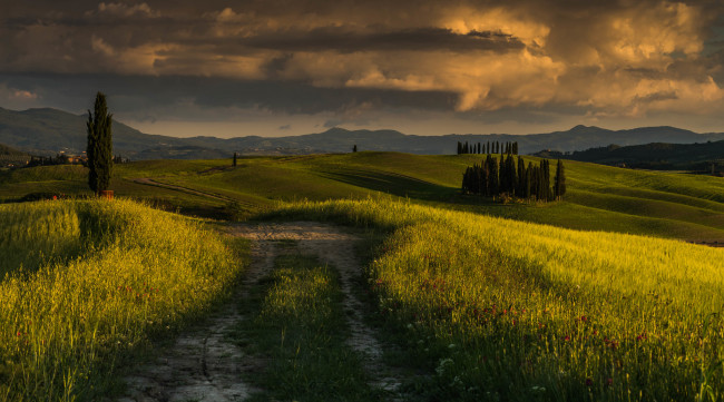 Обои картинки фото природа, дороги, простор