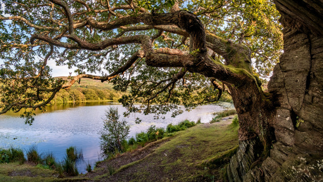 Обои картинки фото природа, моря, океаны, простор