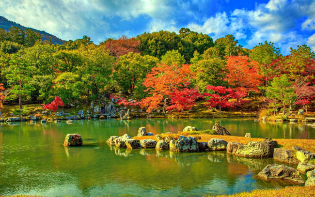 Обои картинки фото природа, парк, осень, водоем