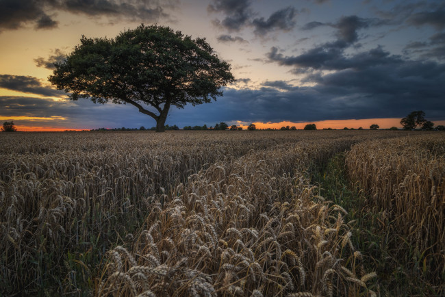 Обои картинки фото природа, пейзажи, простор