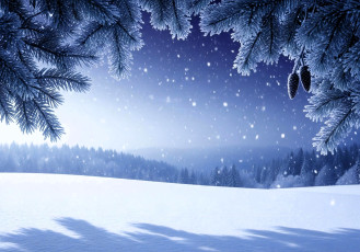 обоя 3д графика, природа , nature, ветки, ёлка, шишки, снег, зима, лес