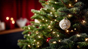 обоя праздничные, ёлки, ёлка, огни, игрушки
