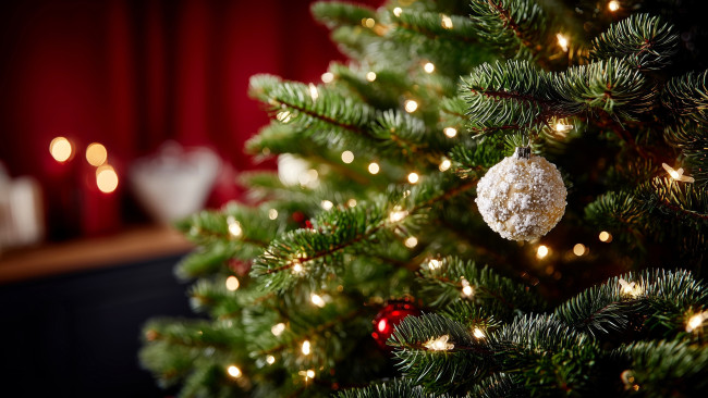 Обои картинки фото праздничные, ёлки, ёлка, огни, игрушки