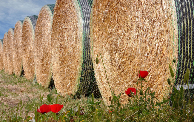 Обои картинки фото разное, - другое, сено