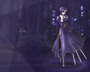 Картинка аниме tsukihime