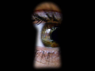 Картинка grinnik maxim любопытство разное