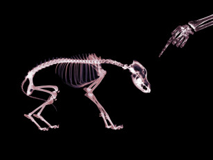 Картинка разное