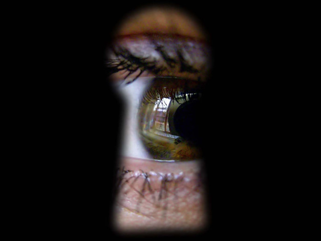 Обои картинки фото grinnik, maxim, любопытство, разное