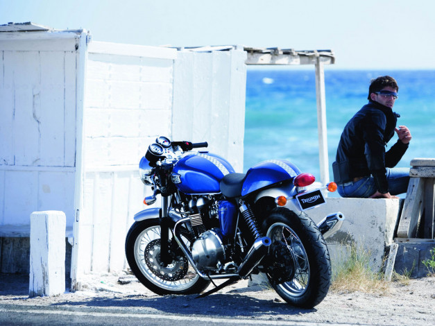 Обои картинки фото мотоциклы, triumph