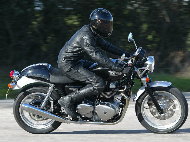Обои картинки фото мотоциклы, triumph