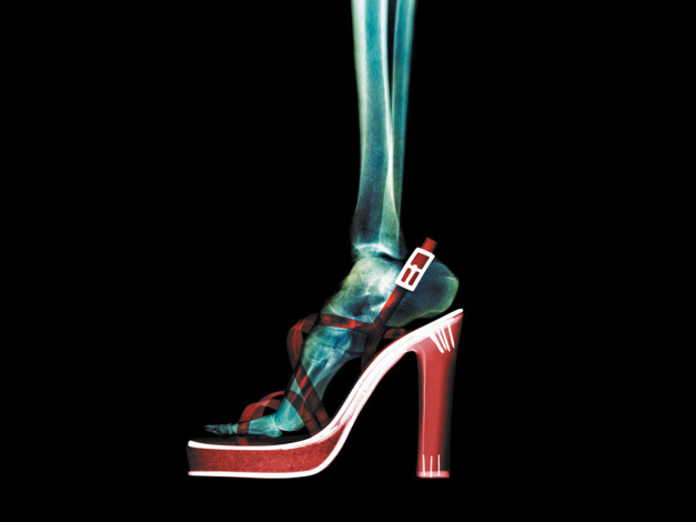 Обои картинки фото разное