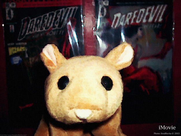 Обои картинки фото разное