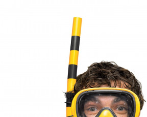 обоя бренды, beeline