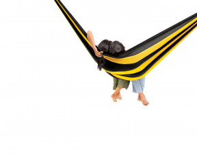 обоя бренды, beeline